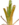 Brocchinia thumb01.png