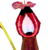 Nepenthes thumb01.png