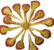Drosera thumb01.png
