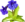 Pinguicula thumb01.png