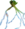 Genlisea thumb01.png