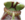 Cephalotus thumb01.png