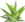 Catopsis thumb01.png