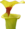 Sarracenia thumb01.png